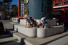 あけましておめでとうございます