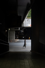 通路