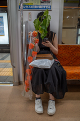 ほおずき市に出かけて