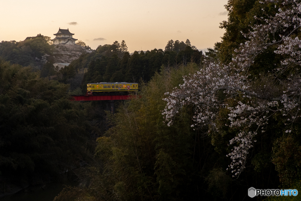 桜とお城と黄色い電車