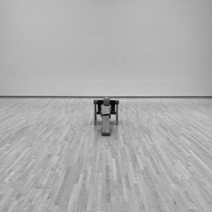 The Absence of Mark Manders.
