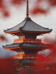 秋の清水寺