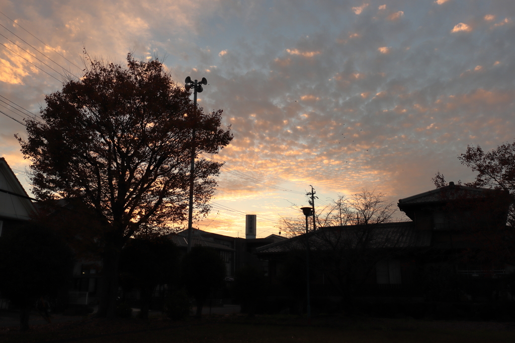 夕暮れ
