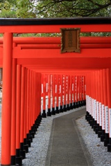 稲荷神社の鳥居