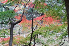 養老公園