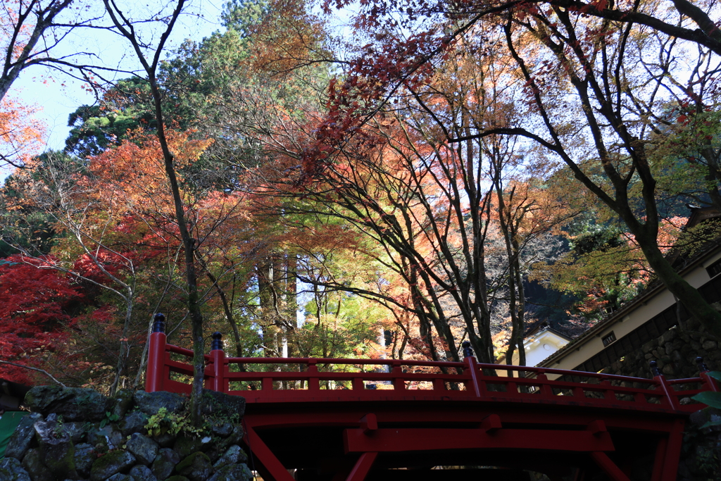 横蔵寺