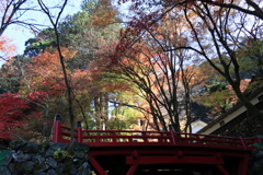 横蔵寺