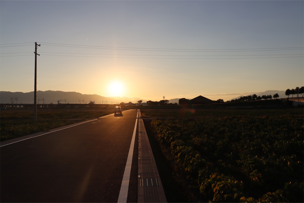 夕暮れロード
