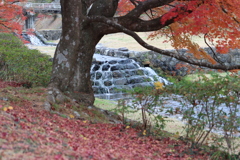 養老公園