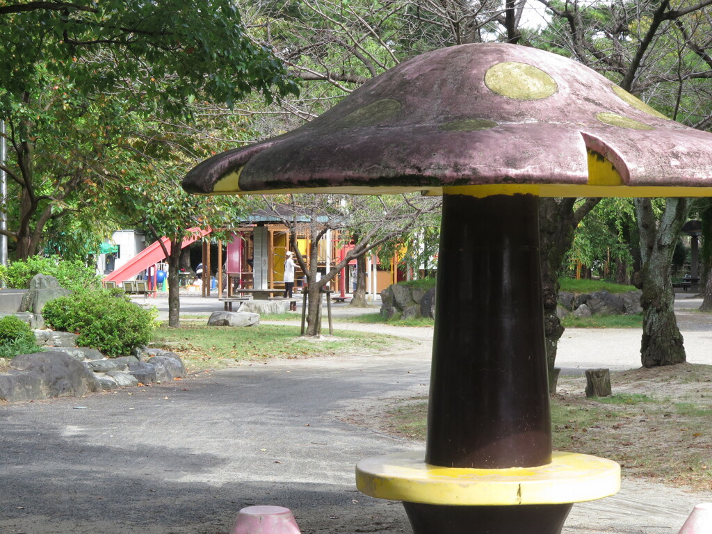 大垣公園のきのこ