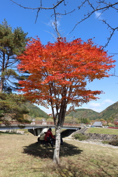 赤と青と緑