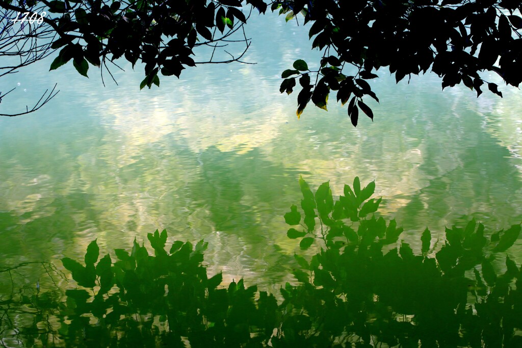 水面