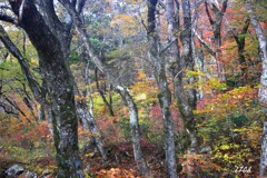 残り物に福あり ３