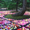 池泉天竺牡丹