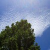 梅雨の晴れ間