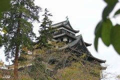 松江城 2/3