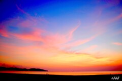 ２０２５・忘れ物 ５