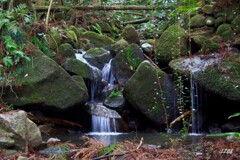 片江古道の小さな滝 ２