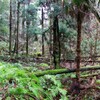 片江古道 4/4