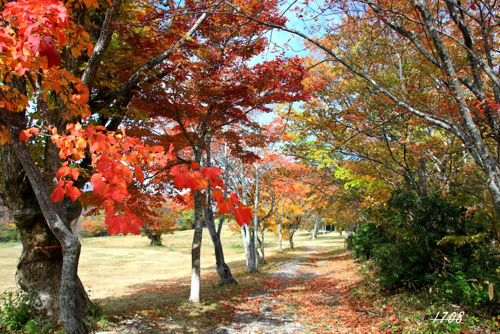 秋のゲレンデ 1/2