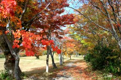 秋のゲレンデ 1/2