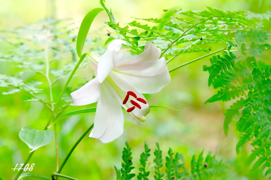 ２０２５・忘れ物