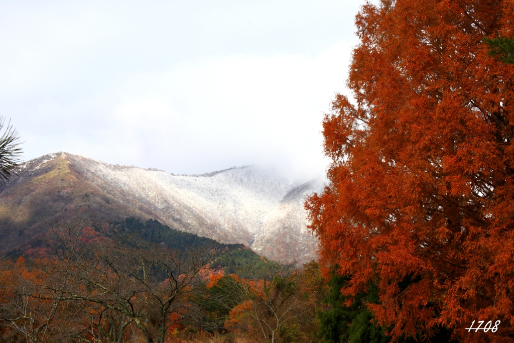 蒜山の紅葉 ・中蒜山