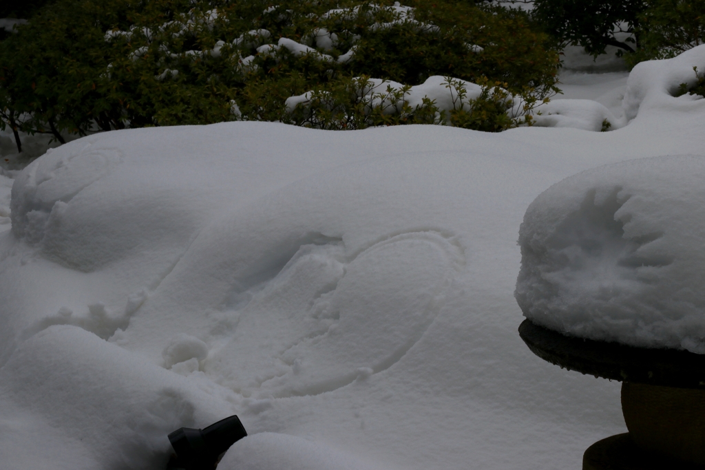 民度が低い国（中〇）