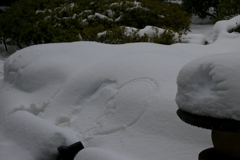 民度が低い国（中〇）