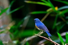 暗い場所が好き