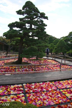 定番　由志園 2/2