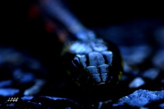 温かいアスファルトの上で 2/2 温かいアスファルトの上で 2/2