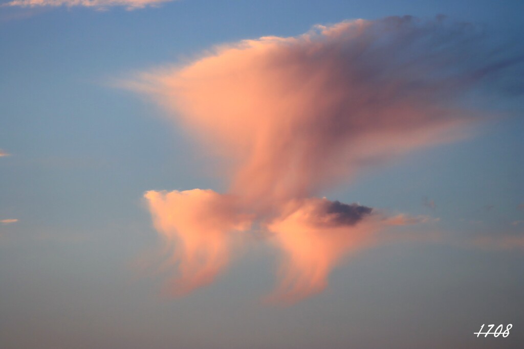 早朝の雲