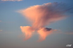 早朝の雲