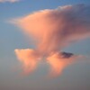 早朝の雲