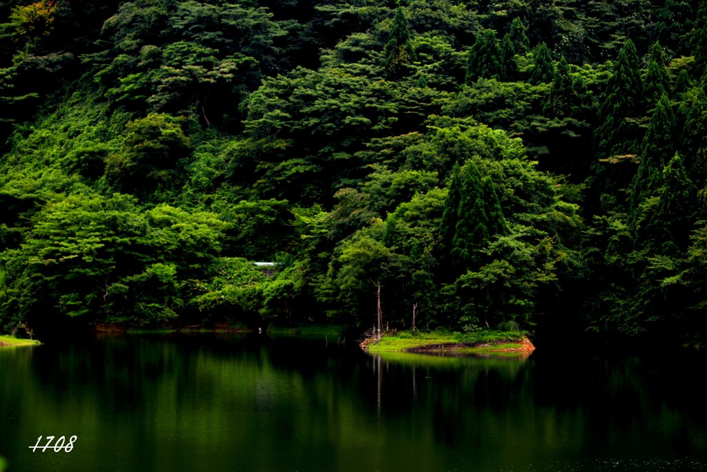 あるダム湖