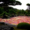 定番　由志園 1/2