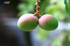 美味しそう～