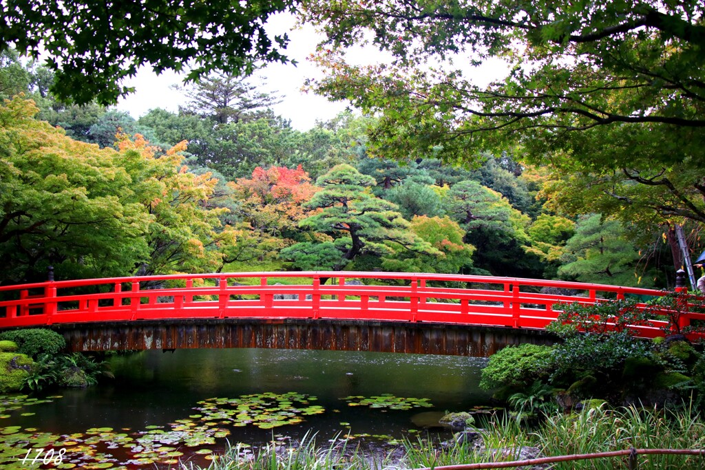 日本庭園 1/2