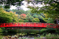 日本庭園 1/2