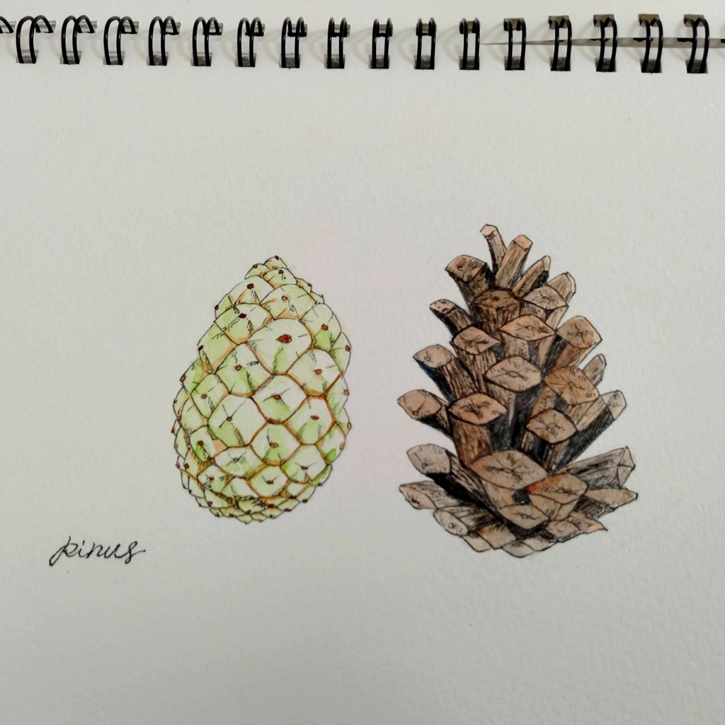 イラスト