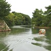 松江城 1/3