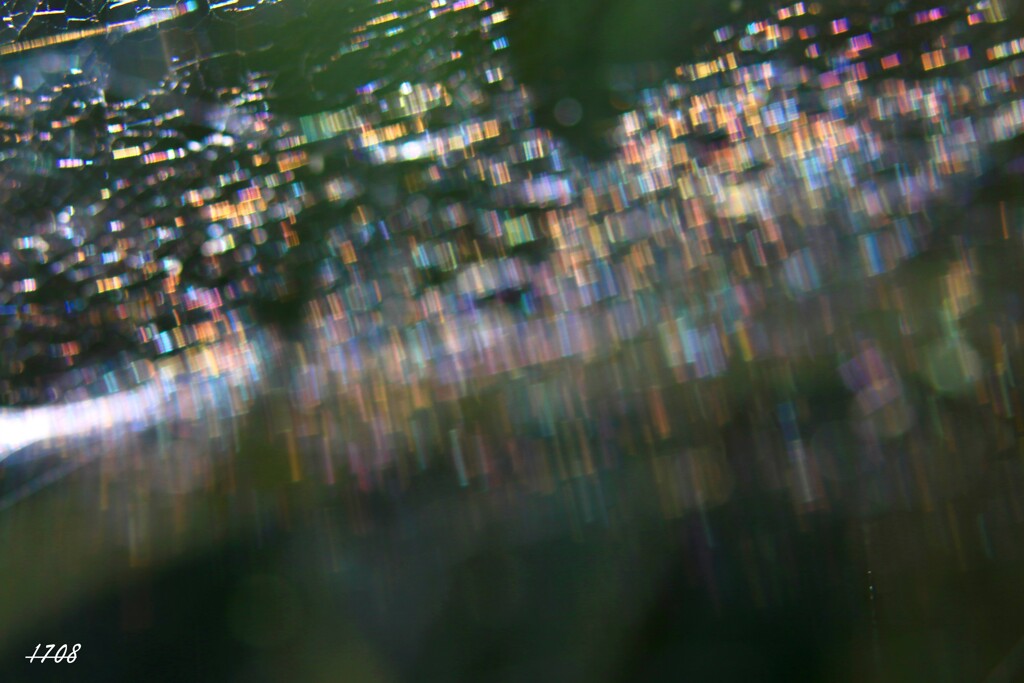 虹の世界
