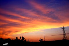 夕景