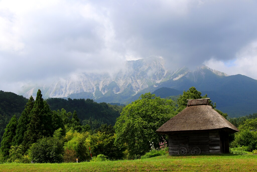 ２０２５・忘れ物 ４