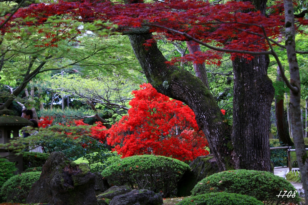 由志園・日本庭園 1/3