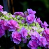 思ったより豪華