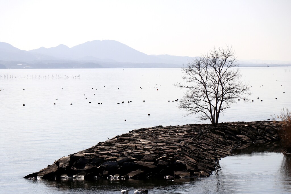 宍道湖