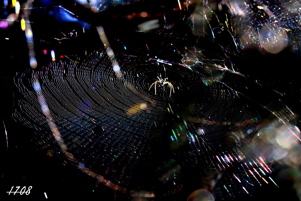 ２０２５忘れ物（七色の宮殿）