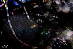 ２０２５忘れ物（七色の宮殿）